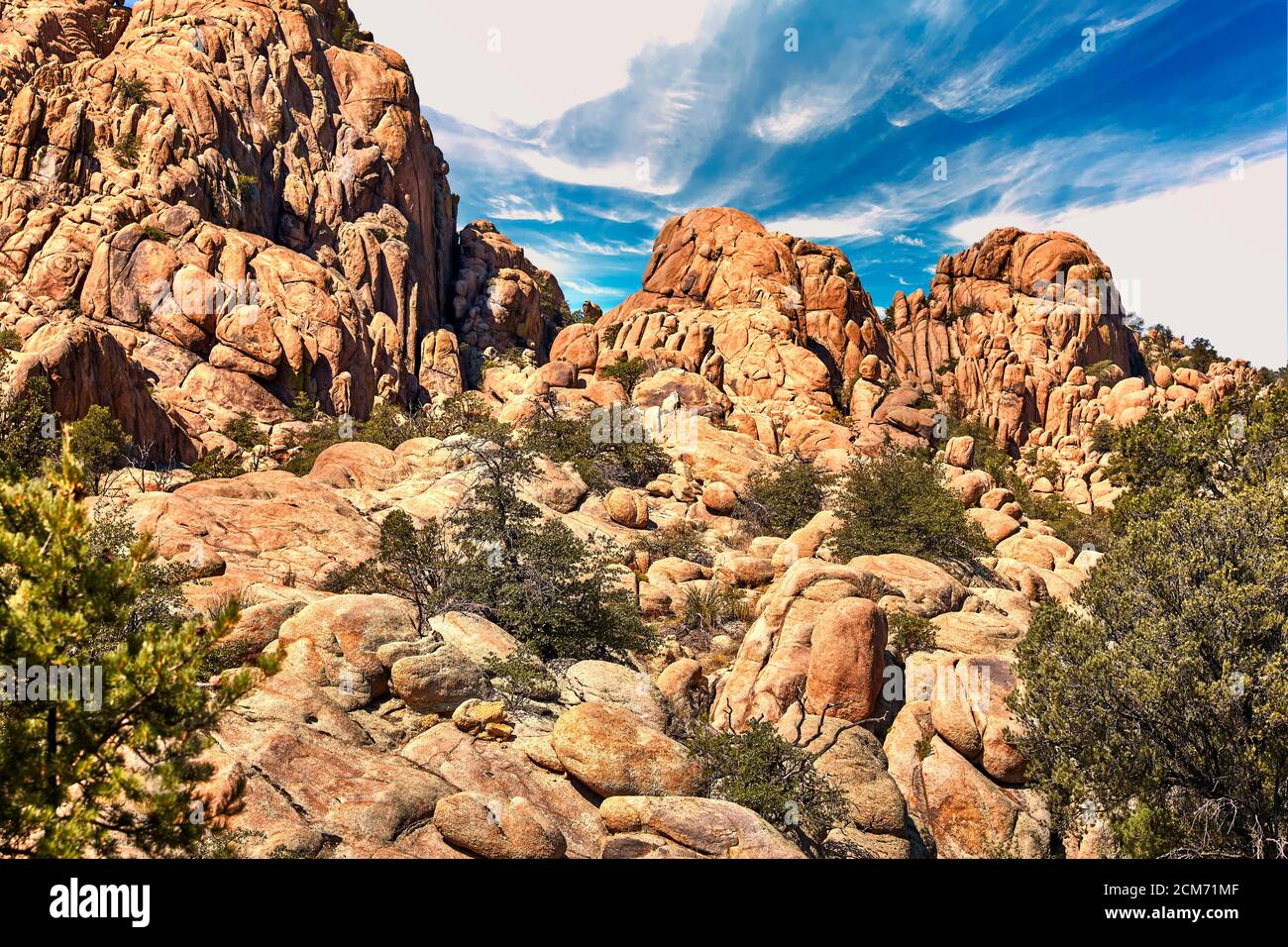 Grandi massi di granito, alberi di pino e ginepro Foto Stock