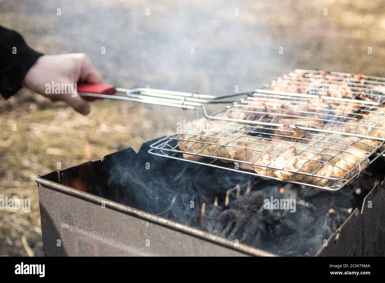 Shashlik di pollo arrostito su carbone alla griglia. Pollo Wings on Grill Foto Stock