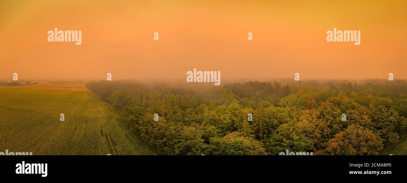 L'alba arancione si illumina su una foresta foggosa come foto panoramica aerea da un drone. Foto Stock