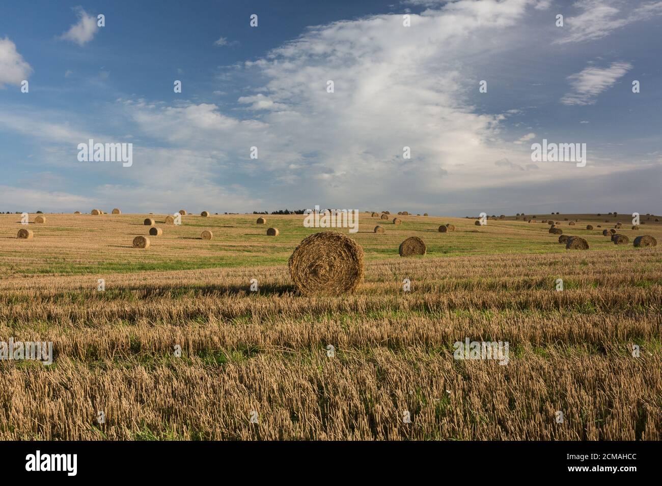 City Smiltene, Latvia.Hay rulli nel prato.Travel photo.13.09.2020 Foto Stock