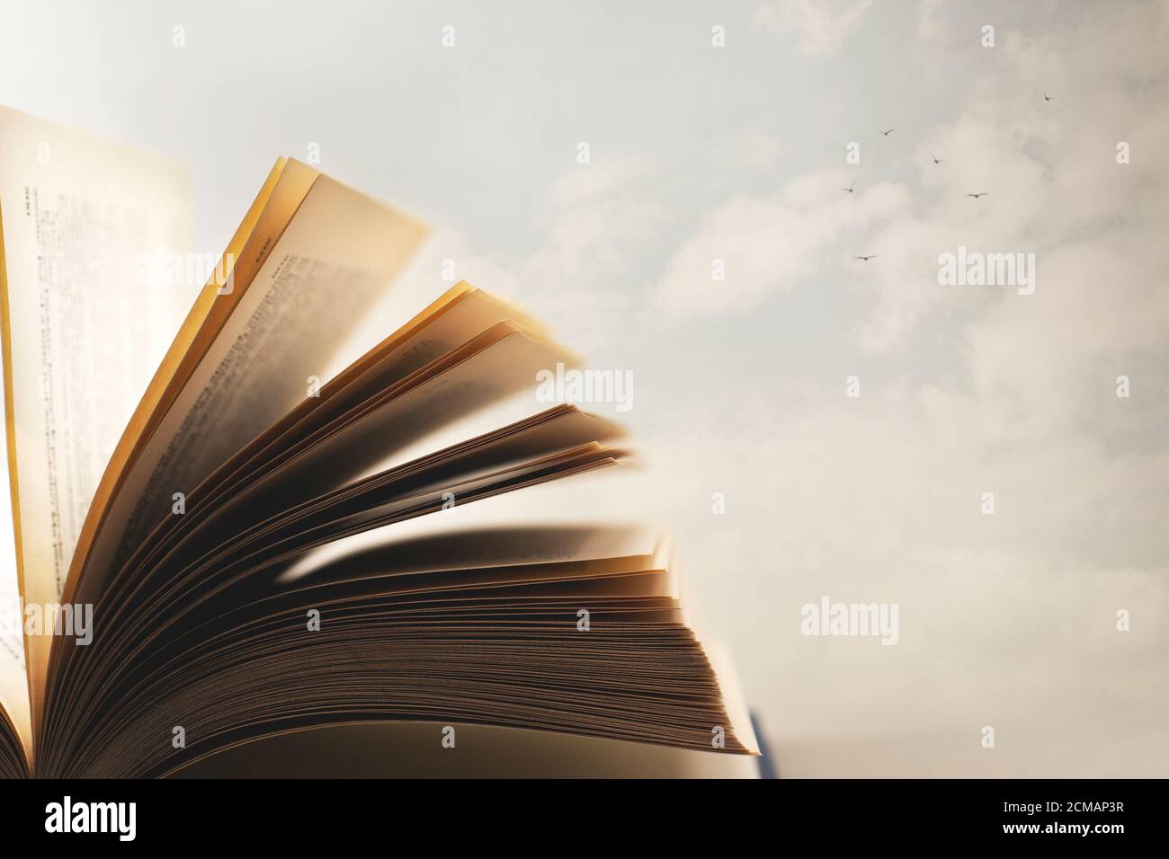 concetto di libertà di pensiero con un libro aperto a. il cielo Foto Stock