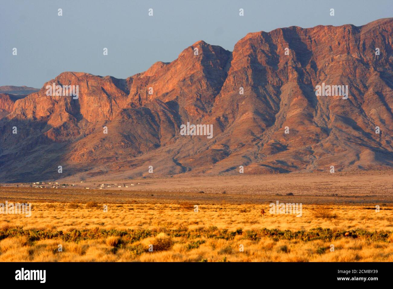 animali africani e paesaggio Foto Stock