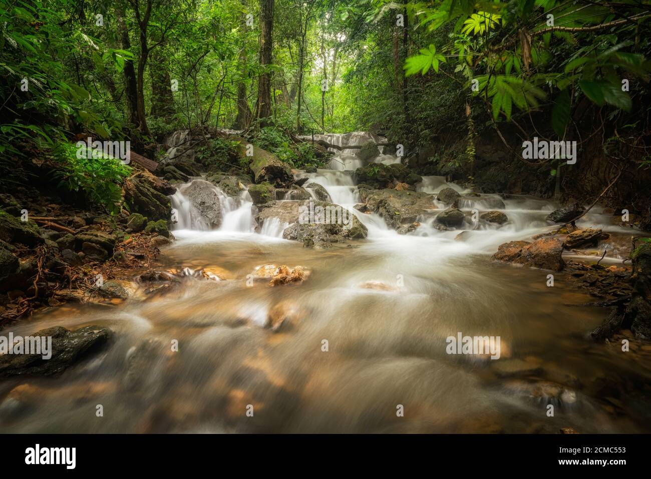 Cascata nella giungla tropicale profonda. Foto Stock