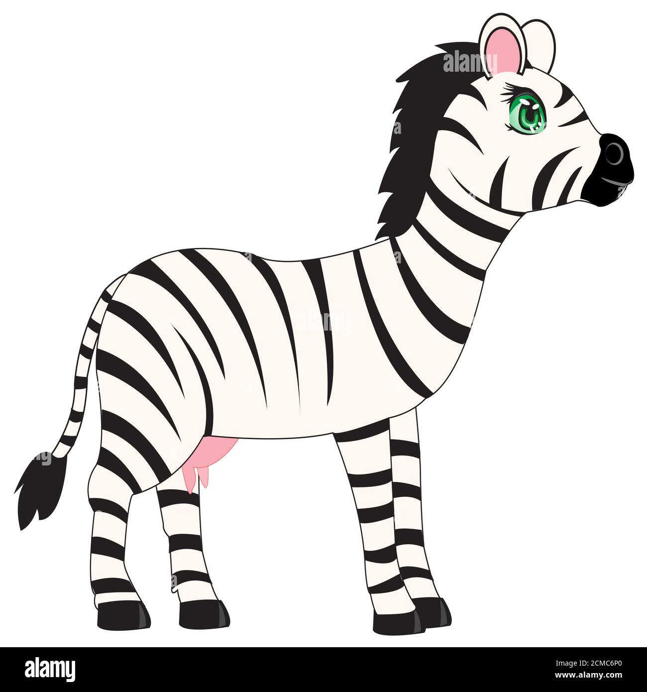 Animale zebra su sfondo bianco Foto Stock