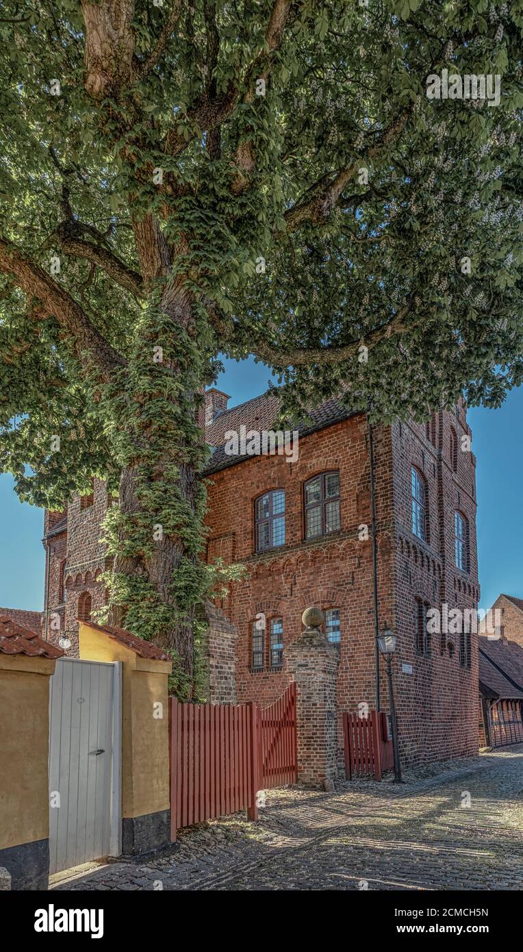 L'edificio di Taarnborg a Ribe fu costruito nel 1570-80 e fu la recidence del vescovo Brorson, Danimarca, il 1 giugno 2020 Foto Stock