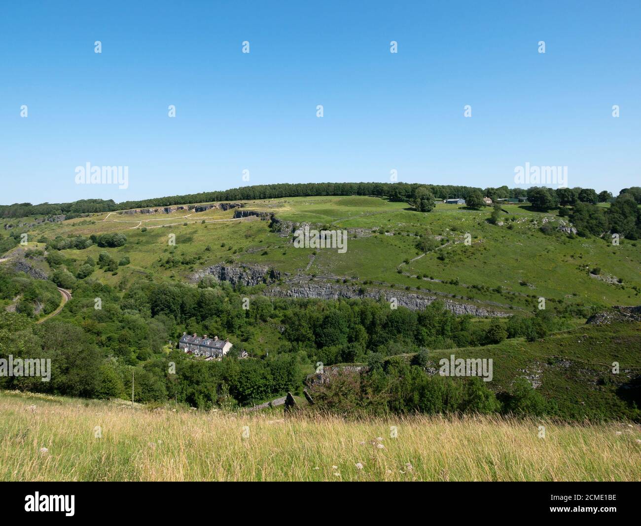 Riserve naturali di Wye Valley, Chee Dale, Upper Wye Valley, Derbyshire, Inghilterra, Regno Unito. Foto Stock