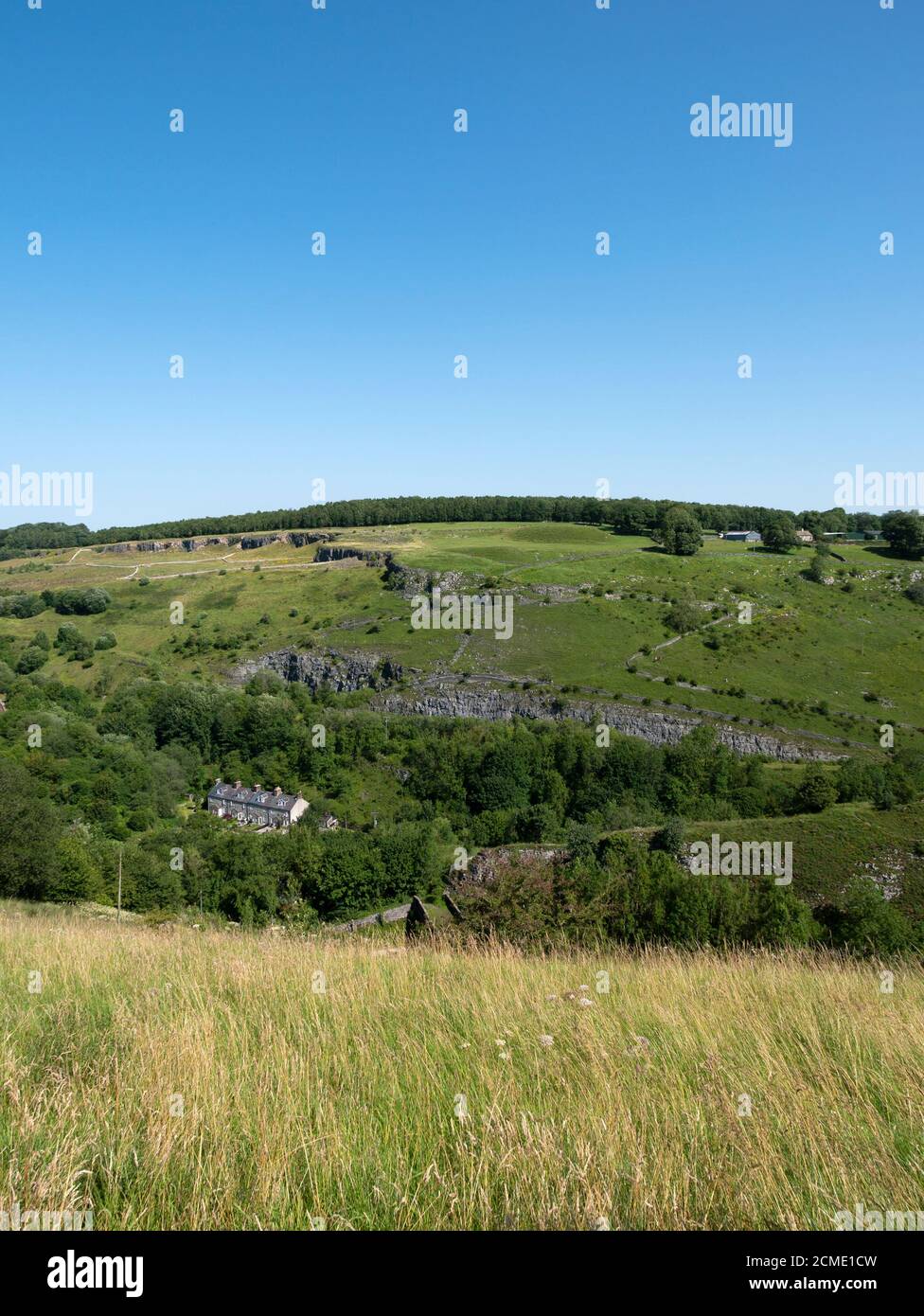Riserve naturali di Wye Valley, Chee Dale, Upper Wye Valley, Derbyshire, Inghilterra, Regno Unito. Foto Stock
