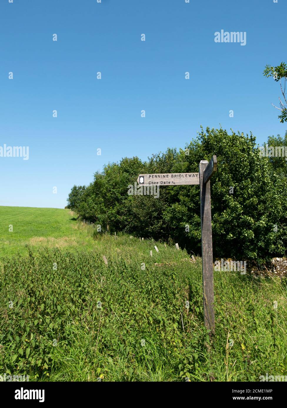 Pennine Bridleway, Chee Dale, Upper Wye Valley, Derbyshire, Inghilterra, Regno Unito. Foto Stock