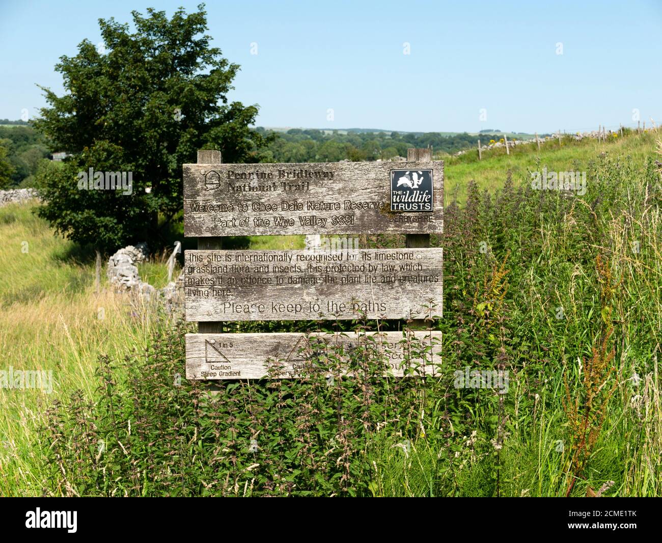 Sentiero natura del Pennine Bridleway, Chee Dale, Upper Wye Valley, Derbyshire, Inghilterra, Regno Unito. Foto Stock