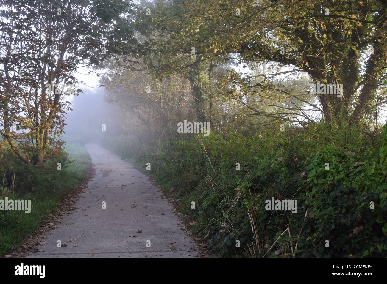 misty lane Foto Stock