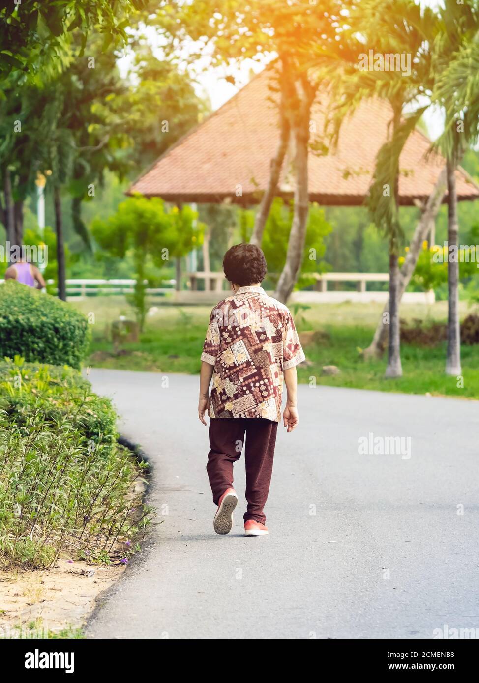 Indietro ritratto di una donna anziana asiatica indossa protettivo Maschera facciale per proteggere da Corona Virus(COVID-19)camminare e jogging dentro Parco pubblico.mature Foto Stock