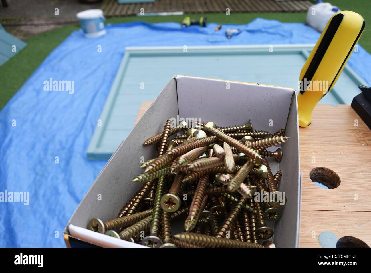 Viti per legno in ottone Pozidrive nella scatola Foto Stock