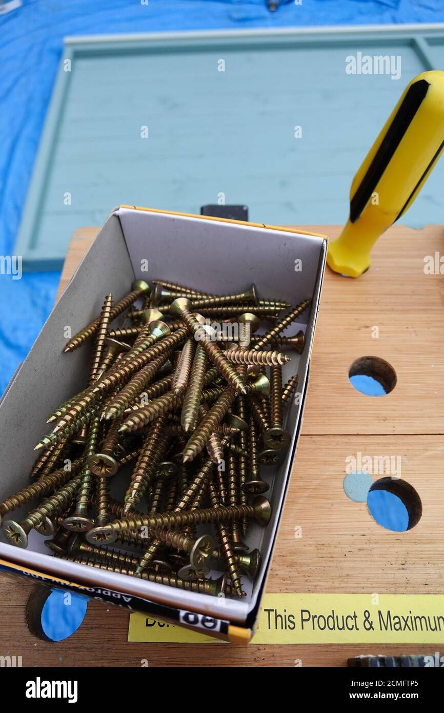 Viti per legno in ottone Pozidrive nella scatola Foto Stock