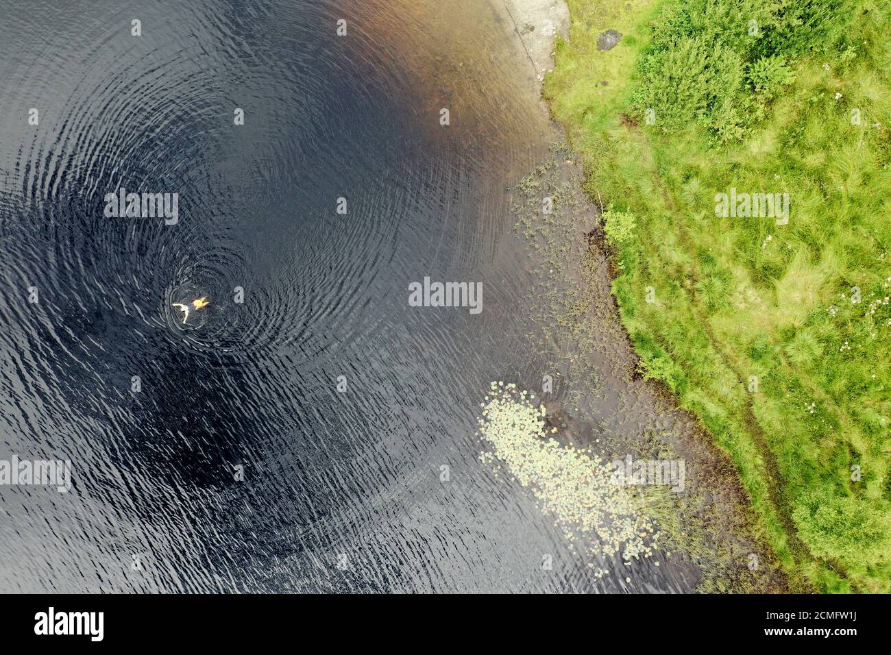 Vista aerea del drone del nuotatore d'acqua selvaggia Loch Chon Trossachs Scozia Foto Stock