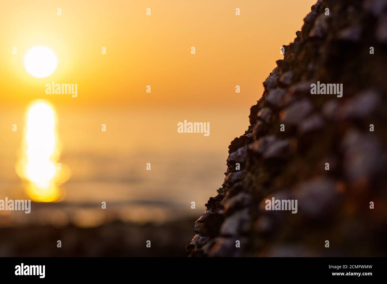 Blur tramonto colorato sfondo con shell su roccia closeup, natura astratta Foto Stock