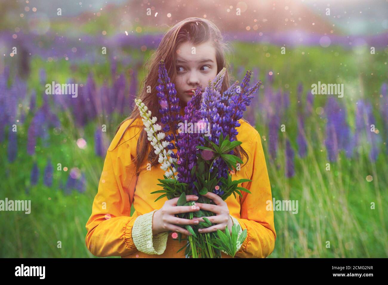 Ragazza con un bouquet di lupini in un campo sotto la pioggia. Foto Stock