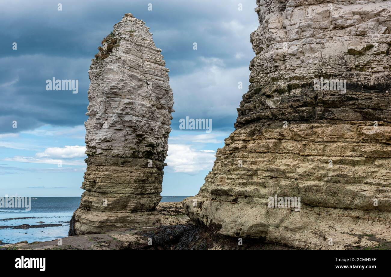 Selwicks Bay, Sea stack, bassa marea, Flamborough Head, North Yorkshire, Inghilterra, Regno Unito Foto Stock