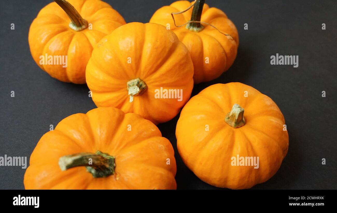 Zucche in miniatura su sfondo nero. Modello Halloween o autunno con spazio per la copia. Foto Stock