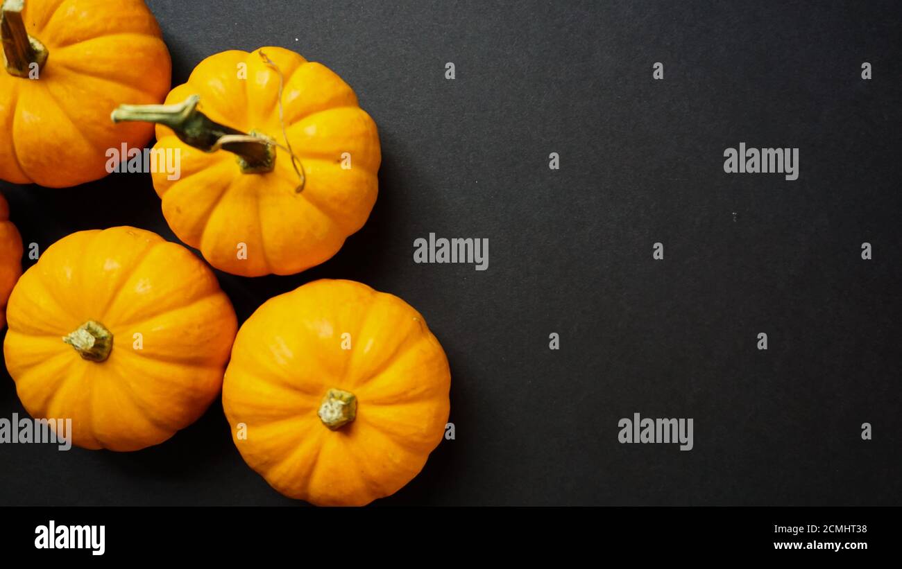 Zucche in miniatura su sfondo nero. Modello Halloween o autunno con spazio per la copia. Foto Stock