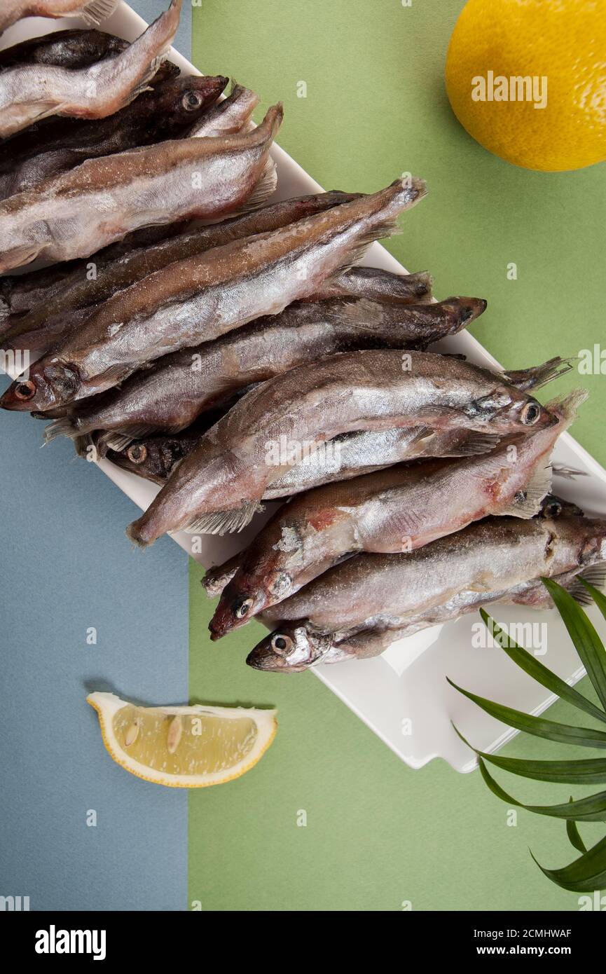 La capelina surgelata si trova su un piatto bianco su uno sfondo azzurro-verde chiaro. Foto Stock