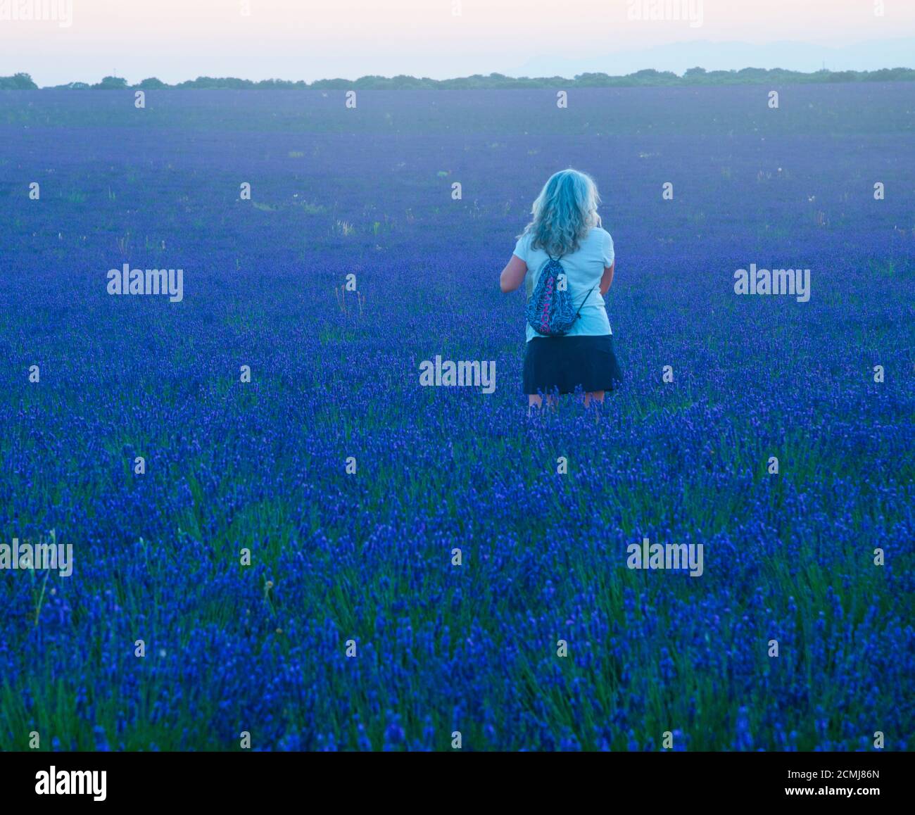 Donna matura in campo lavanda. Foto Stock