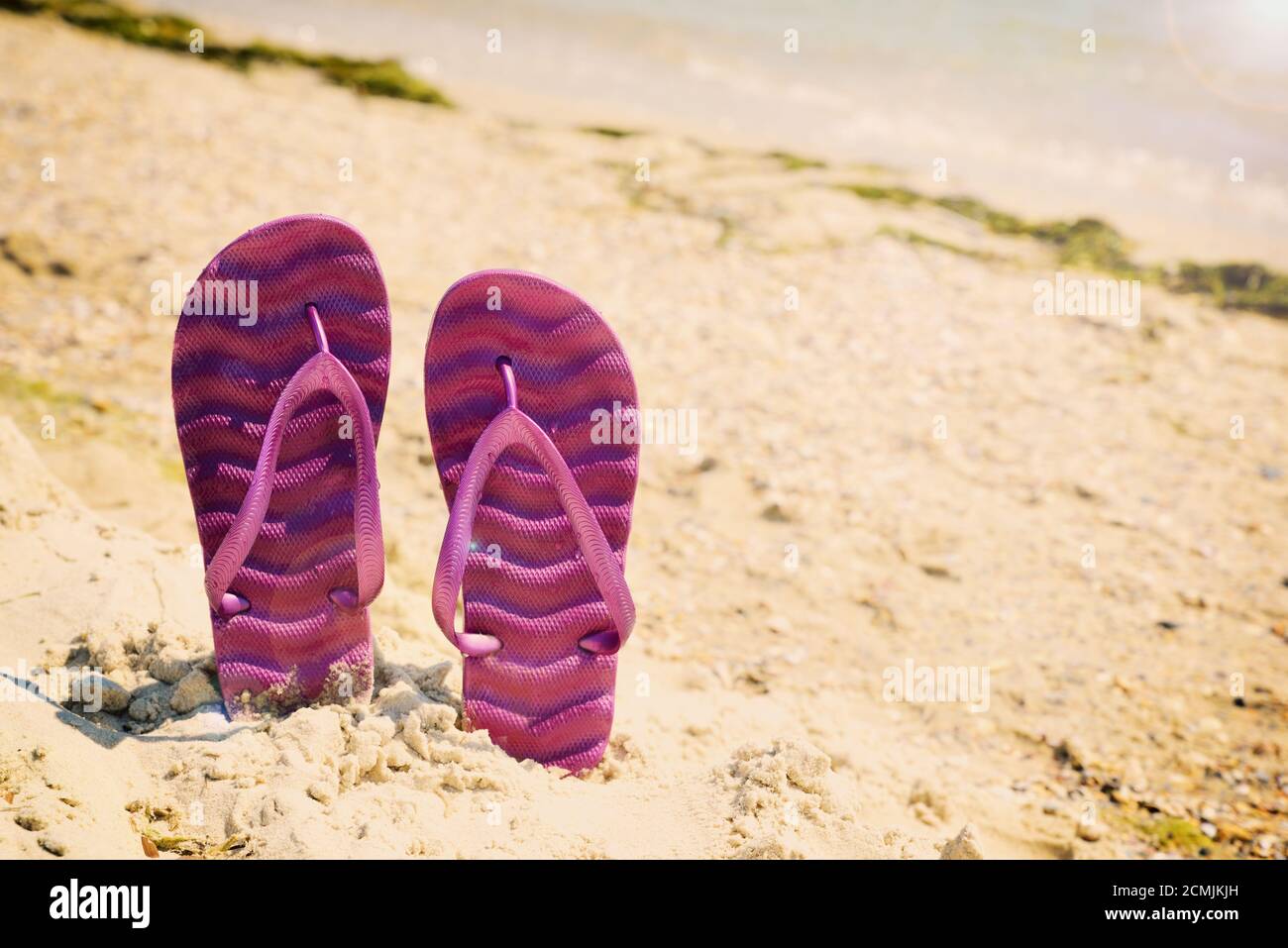 Viola ciabatte sulla spiaggia Foto Stock