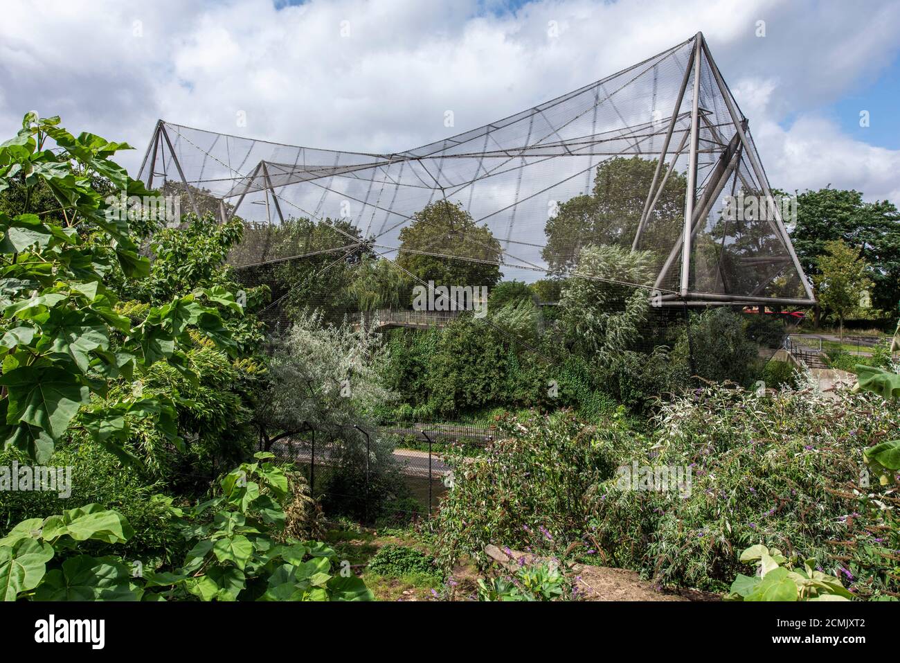 Vista della voliera attraverso la vegetazione e gli alberi. Snowdown Aviary, Londra, Regno Unito. Architetto: Cedric Price, Frank Newby & Lord Snowdon, 1965. Foto Stock