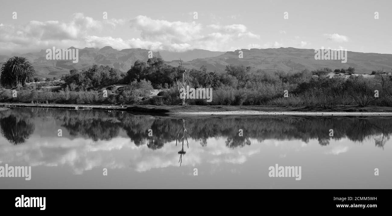 Paesaggio bianco e nero da Maspalomas, a sud di Gran Canaria, Isole Canarie, Spagna Foto Stock