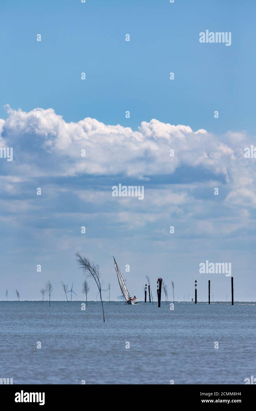 Barca a vela nel mare di wadden presso l'isola orientale Frisone Juist, Germania. Foto Stock