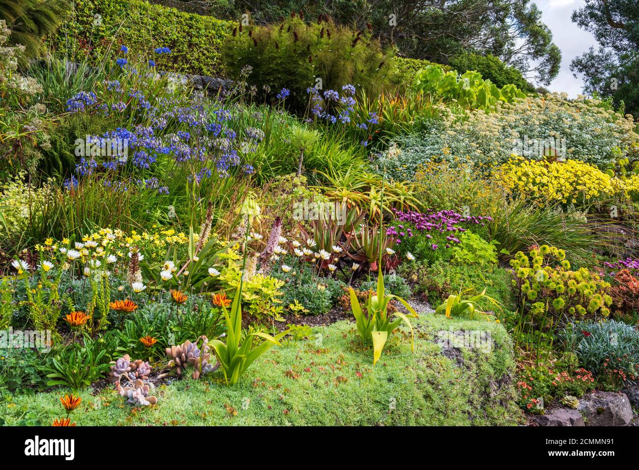 Coloratissimi fiori di fine estate nei giardini murati di Inverewe Garden, Poolewe, Wester Ross, Scozia, Regno Unito Foto Stock