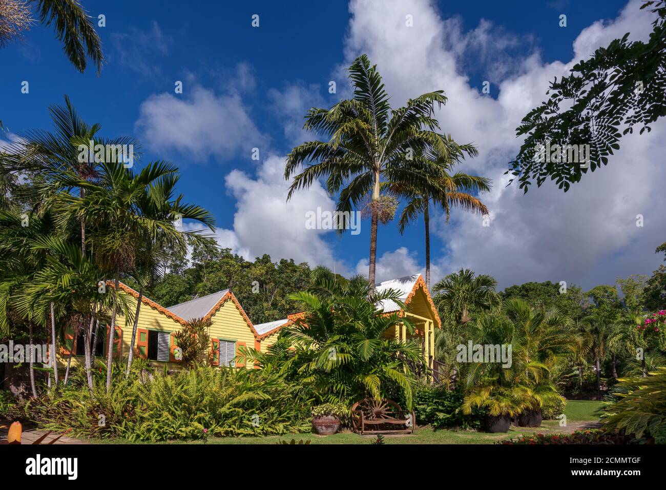 Federazione di Saint Kitts e Nevis Foto Stock