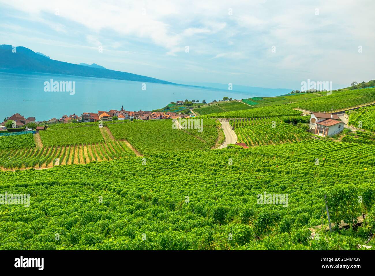 Lavaux Vineyard, un sito patrimonio dell'umanità dell'UNESCO. Vista al tramonto sui vigneti terrazzati, sulle Alpi svizzere e sul lago di Ginevra o sul lago Leman. Regione del vino tra Foto Stock