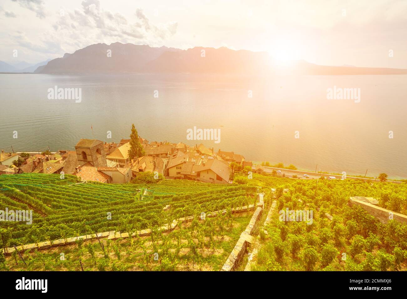 Paesaggio panoramico delle terrazze dei vigneti di Lavaux al tramonto e Lago di Ginevra o Lago Leman. Lavaux, Patrimonio dell'Umanità dell'UNESCO, è una regione di Vaud Foto Stock