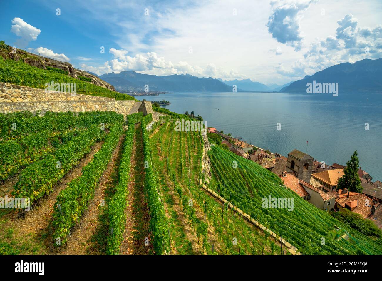 Paesaggio panoramico tra vigneti terrazzati di Lavaux da Lutry e Cully. Città di Vevey, Lago di Ginevra e Alpi svizzere, patrimonio dell'UNESCO vigneti di Foto Stock