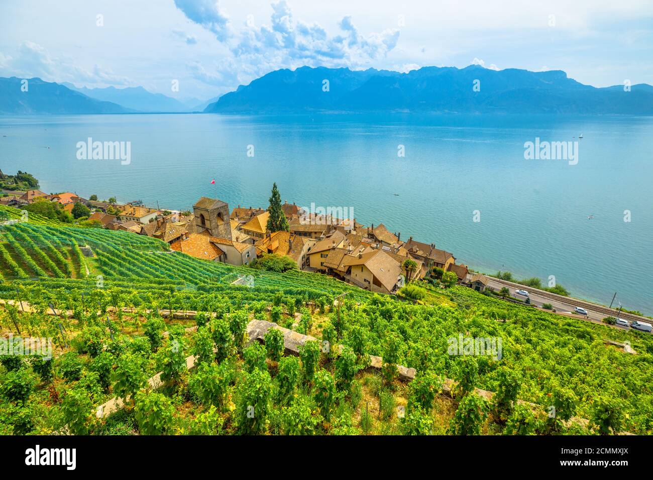 Lavaux Vineyard, un sito patrimonio dell'umanità dell'UNESCO. Vista panoramica sui vigneti terrazzati, sulle Alpi svizzere e sul Lago di Ginevra o sul Lago Leman. Regione del vino tra Foto Stock