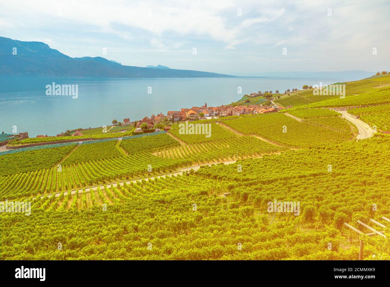 Paesaggio panoramico delle terrazze dei vigneti di Lavaux al tramonto e Lago di Ginevra o Lago Leman. Lavaux, Patrimonio dell'Umanità dell'UNESCO, è una regione di Vaud canto Foto Stock