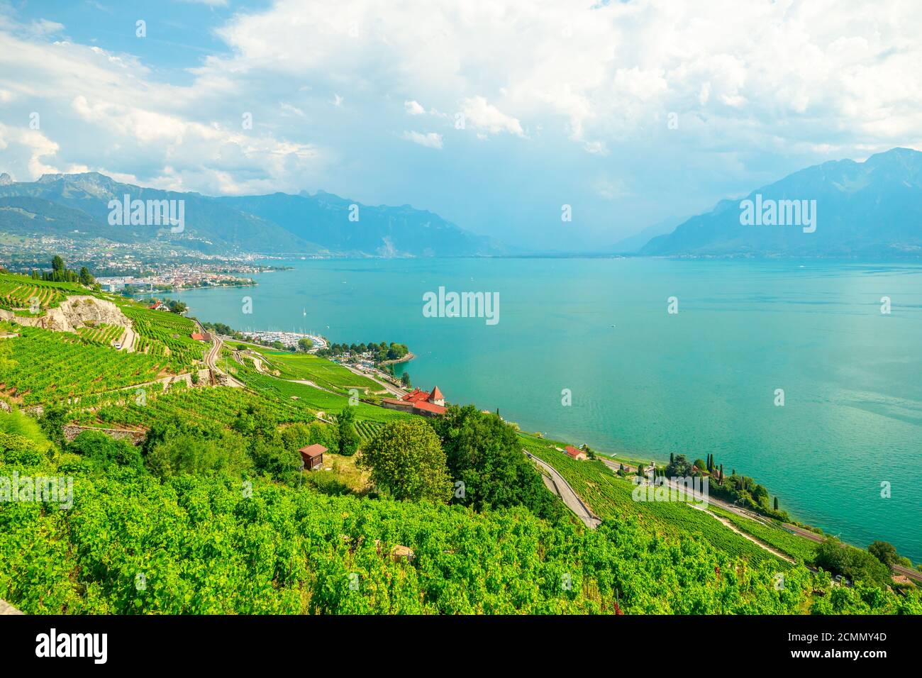 Paesaggio aereo tra vigneti terrazzati di Lavaux da Lutry e Cully. Città di Vevey, Lago di Ginevra e Alpi svizzere, patrimonio dell'UNESCO vigneti di Foto Stock