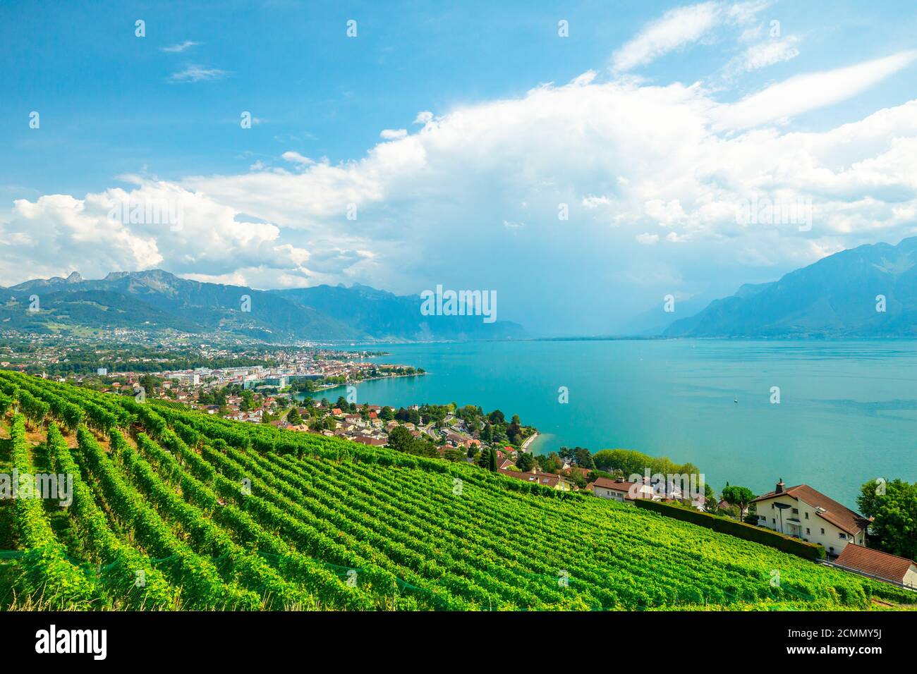 Paesaggio aereo tra vigneti terrazzati di Lavaux da Lutry e Cully. Città di Vevey, Lago di Ginevra e Alpi svizzere, patrimonio dell'UNESCO vigneti di Foto Stock