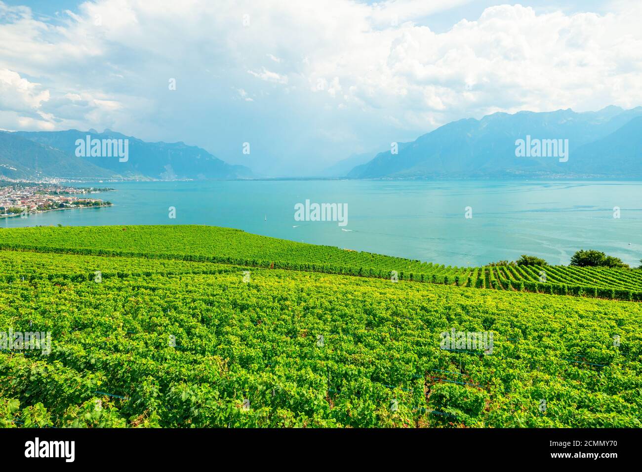 Lavaux Vineyard, un sito patrimonio dell'umanità dell'UNESCO. Vista al tramonto sui vigneti terrazzati, sulle Alpi svizzere e sul lago di Ginevra o sul lago Leman. Regione del vino tra Foto Stock