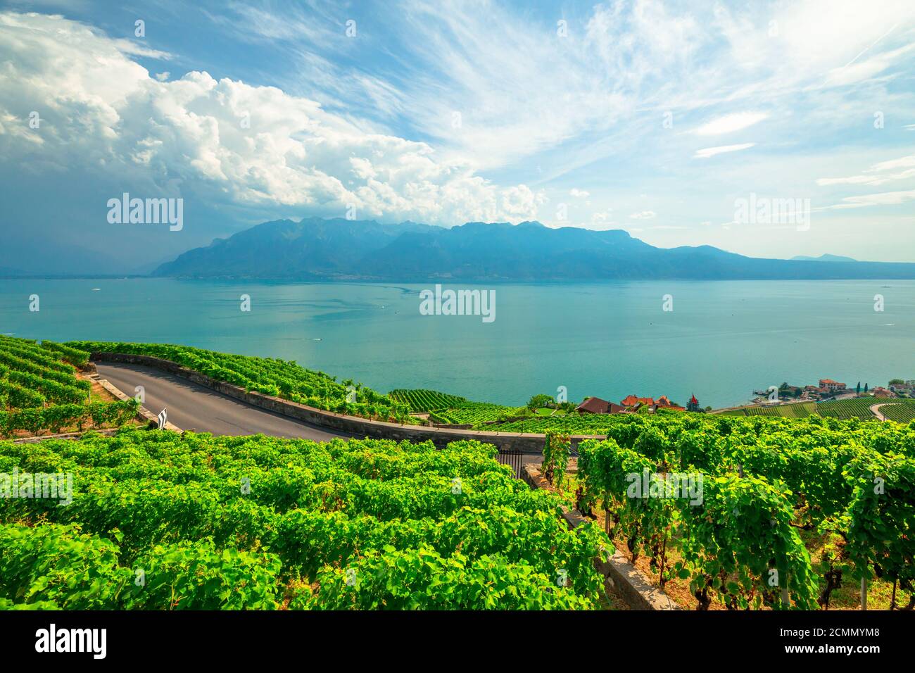 Lavaux, Svizzera: Paesaggio di Lavaux Vineyard Terrazza sentiero escursionistico, Lago di Ginevra e Swiss APS. Vigneti patrimonio dell'umanità dell'UNESCO della regione vinicola di Lavaux Foto Stock