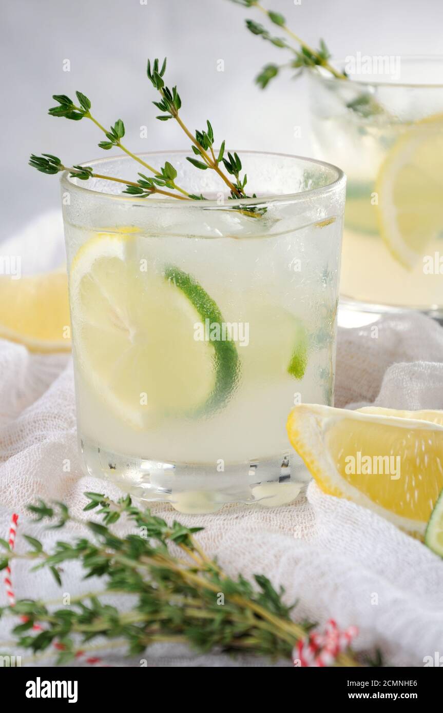 cocktail a base di gin, succo di limone o succo di lime e note di timo. Coccolatevi con una r Foto Stock