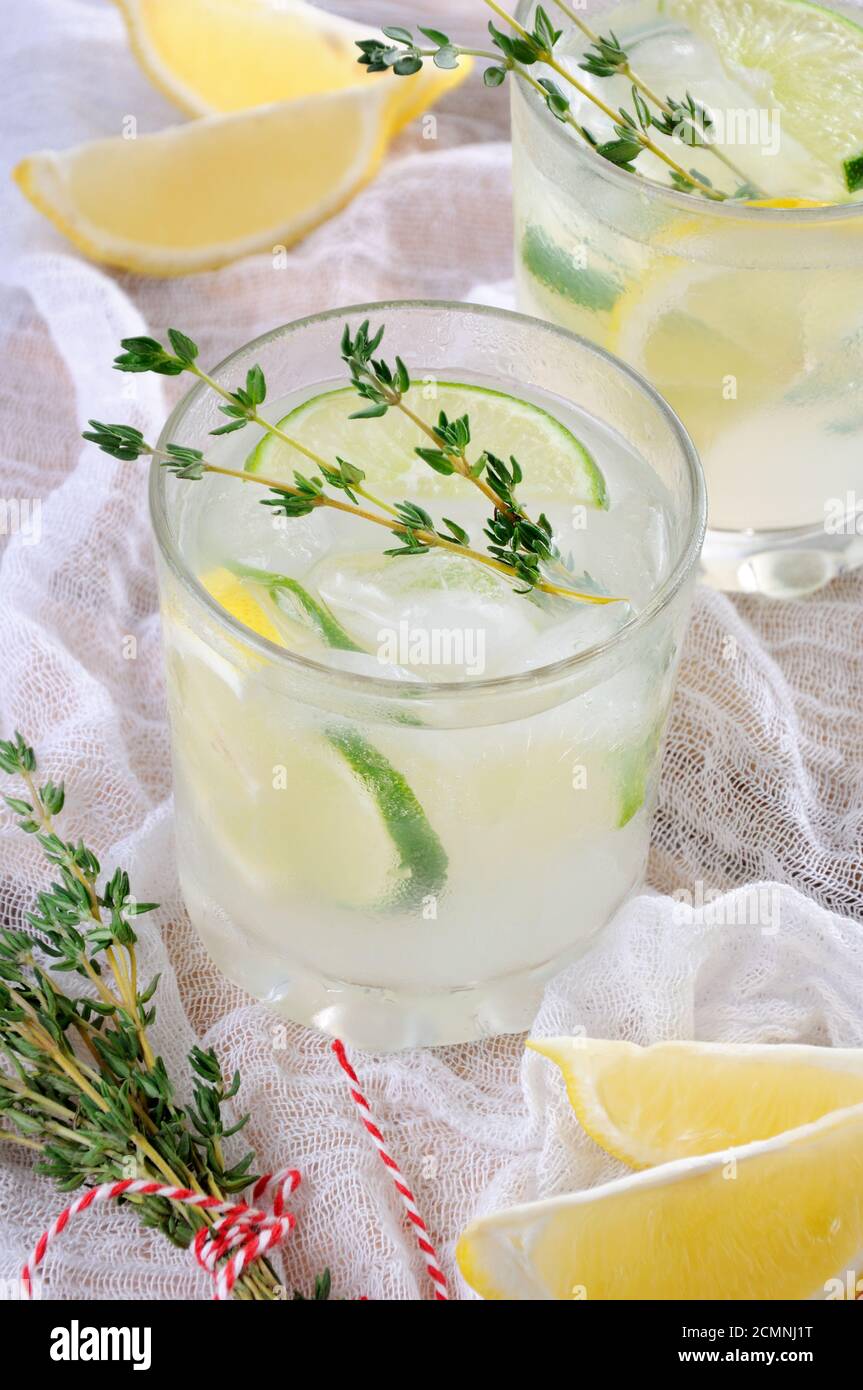 cocktail a base di gin, succo di limone o succo di lime e note di timo. Coccolatevi con una r Foto Stock