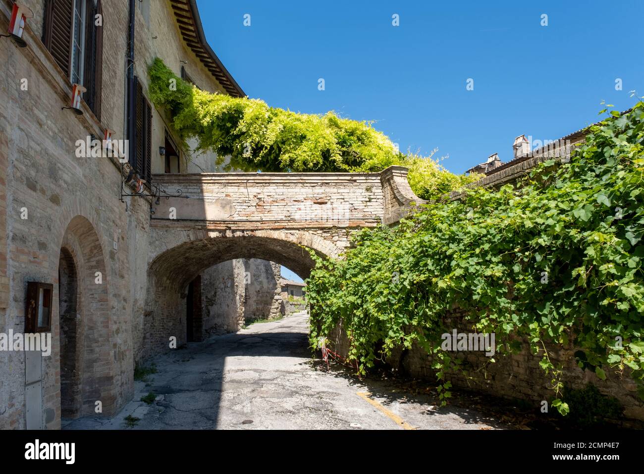 Muro di mattoni incorniciato da Ivy Foto Stock