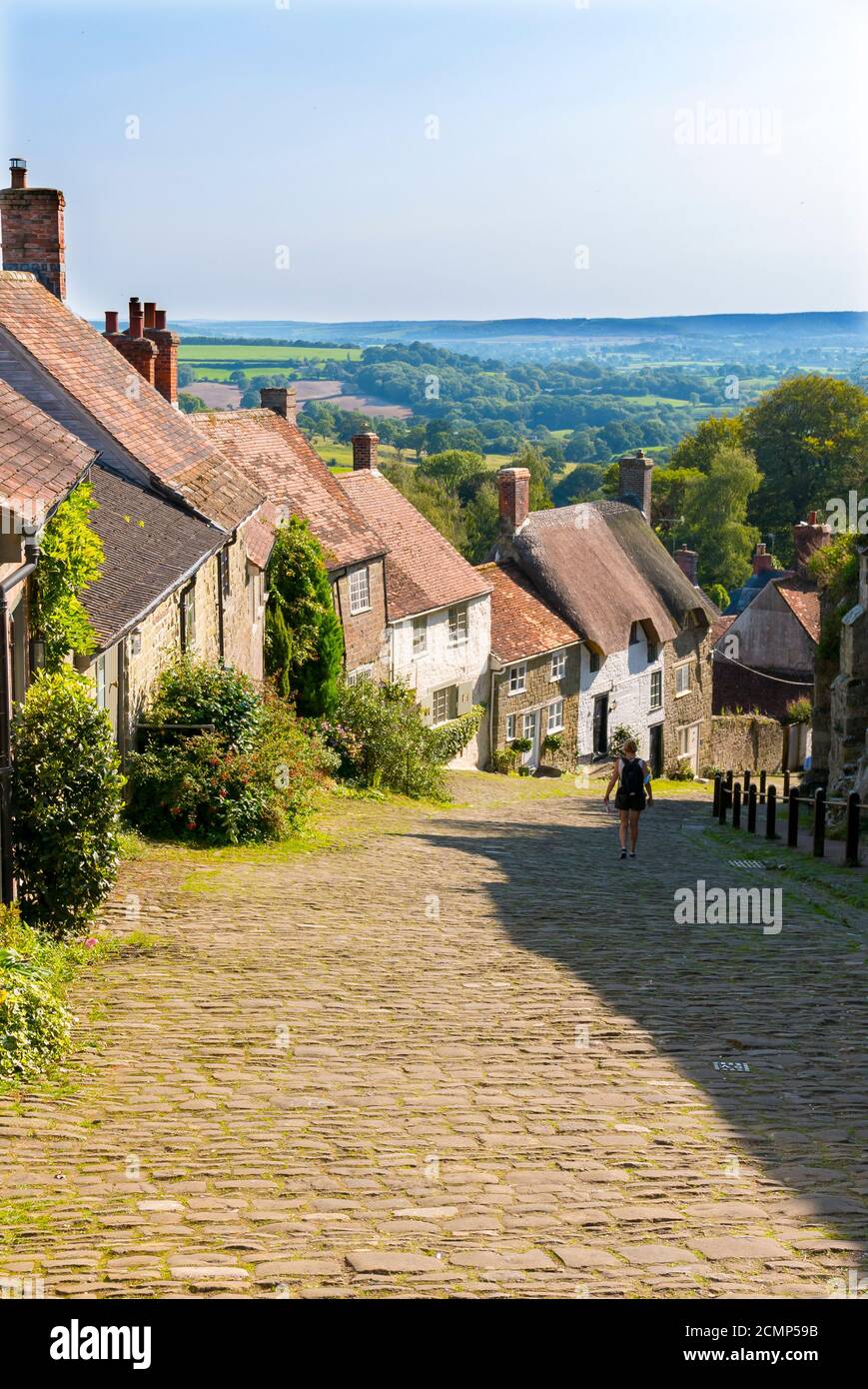 Gold Hill è una ripida strada acciottolata nella città di Shaftesbury, nella contea inglese del Dorset. La vista si affaccia in basso dalla cima della città. Foto Stock