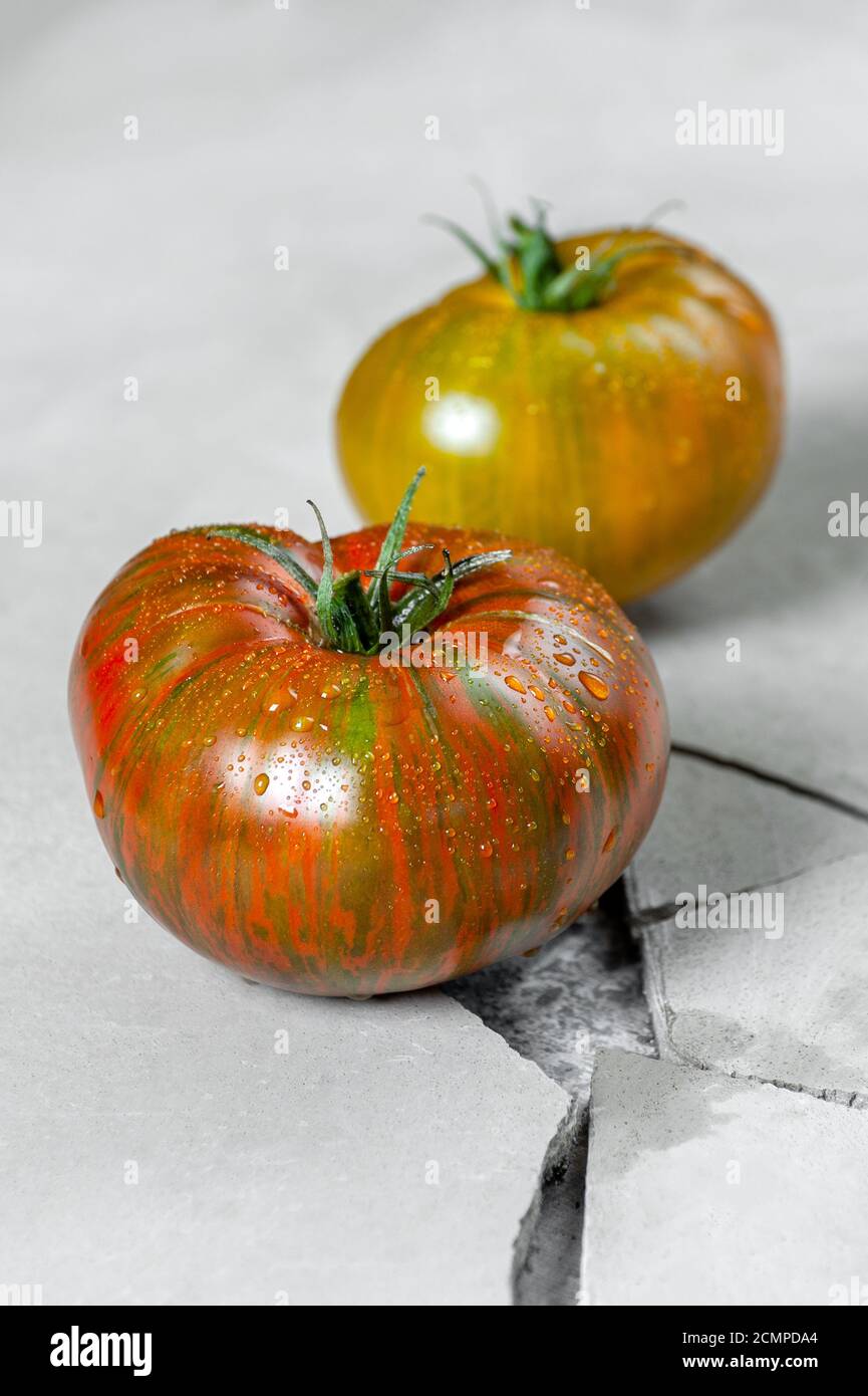 Pomodori ereditari. Due pomodori di diversi colori su un tavolo grigio in cemento con una crepa. Foto Stock