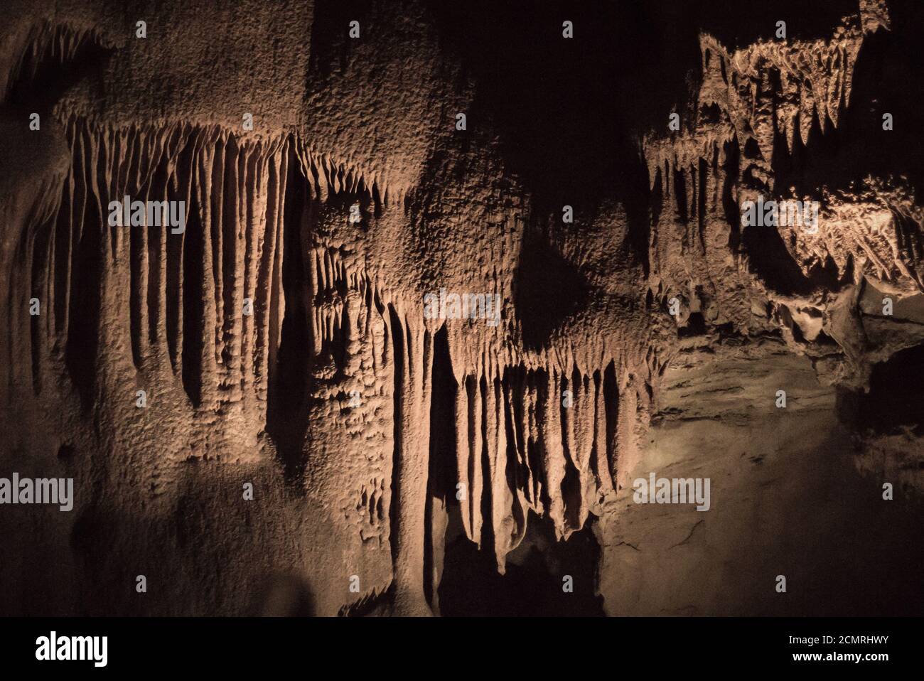 Formazione rocciosa di stalattite nel Parco Nazionale di Mammoth Cave Foto Stock