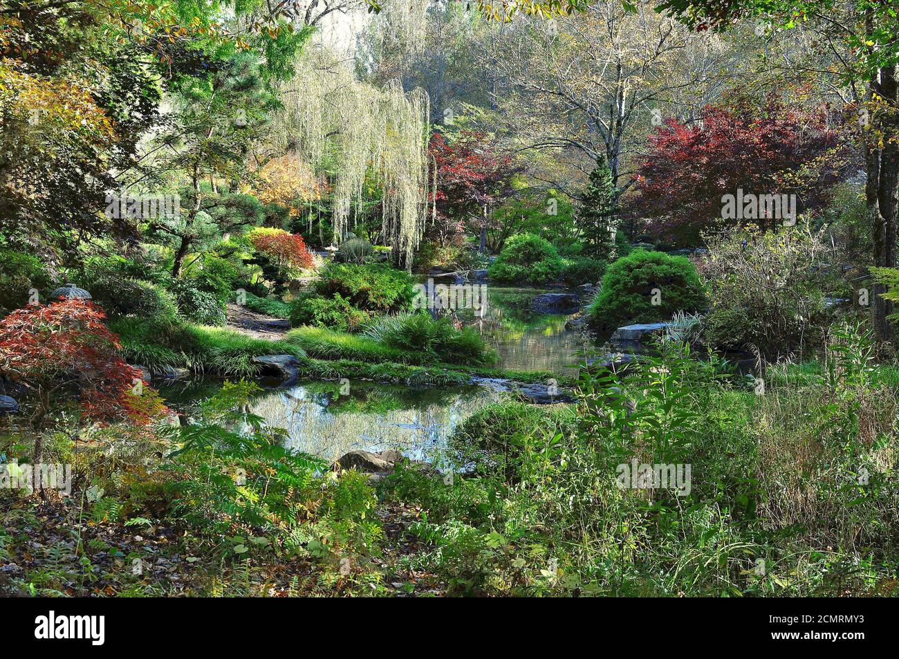 Paesaggio del giardino giapponese in America Foto Stock