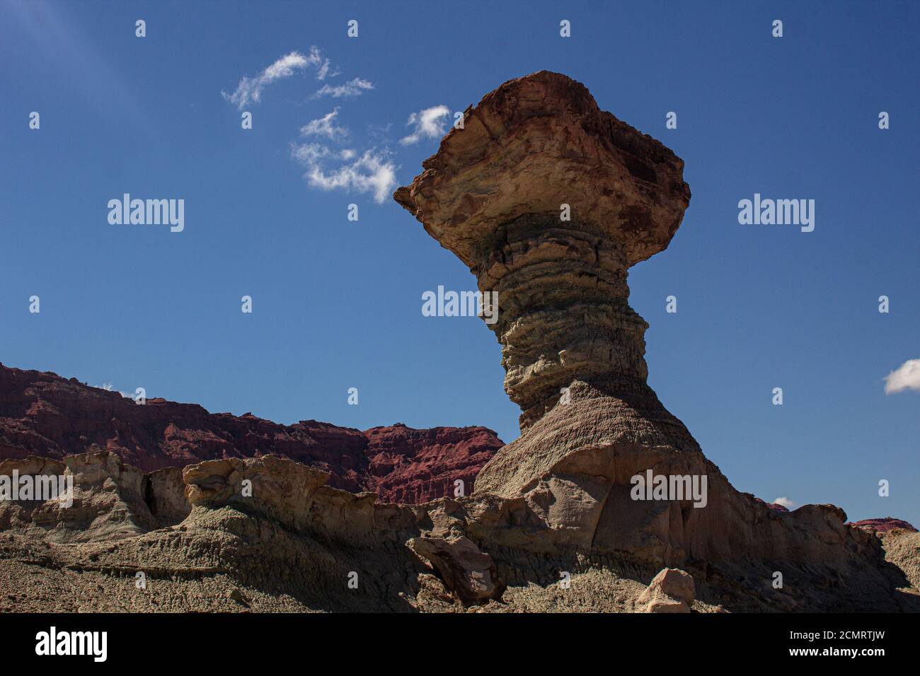 Il Mushroom (El Hungo) Parco Ischigualasto Foto Stock