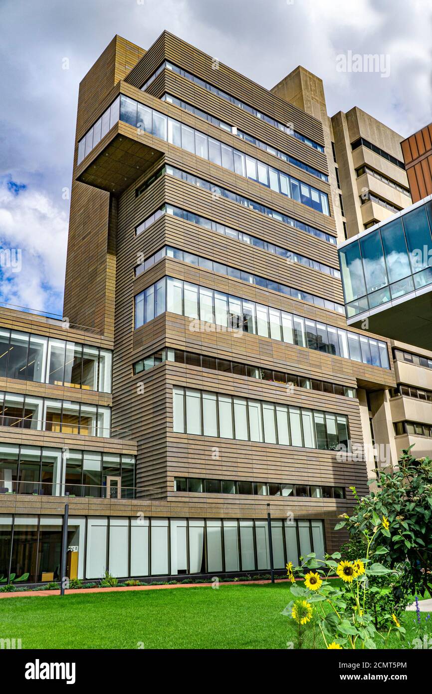 Milstein, Centro didattico, Barnard College, New York City, New York, USA Foto Stock Milstein, Centro didattico, Barnard College, New York City, New York, USA Foto Stock