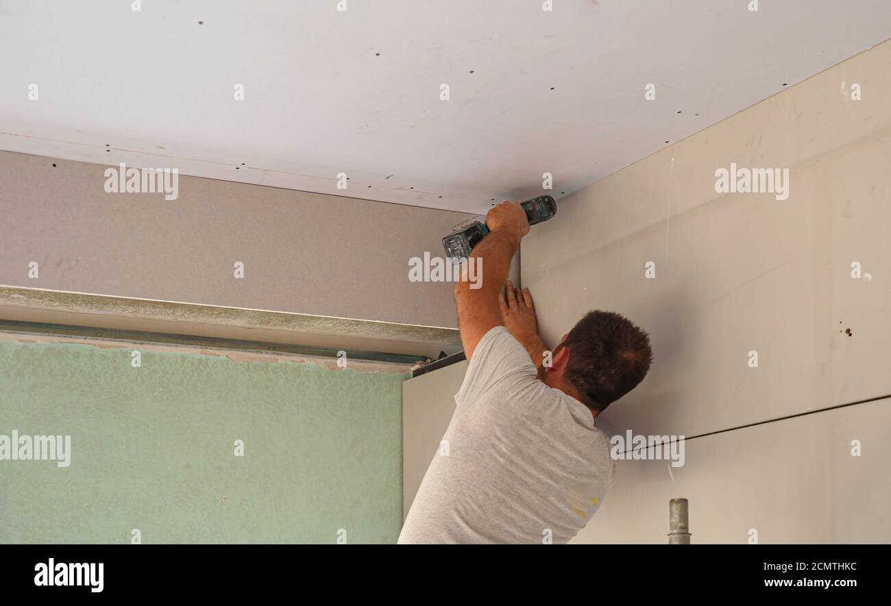 Lavoro di costruzione assembla un soffitto sospeso con drywall an. D  fissaggio del cartongesso al telaio metallico del soffitto con un  cacciavite Foto stock - Alamy